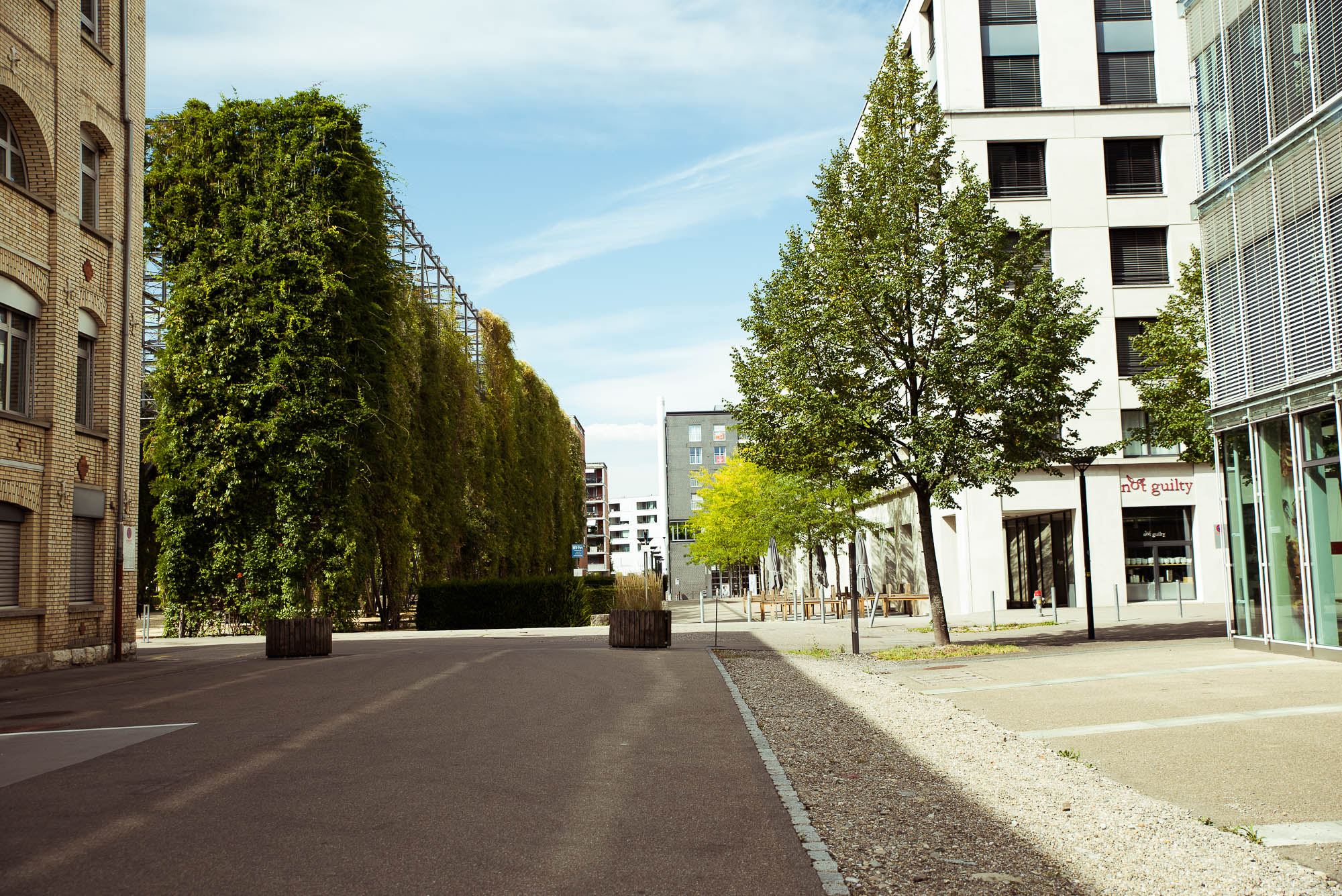 Export x3 NI2 4460 Hochzeit 2020 Kristin & Daniel
